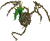 Monsters: Joker model