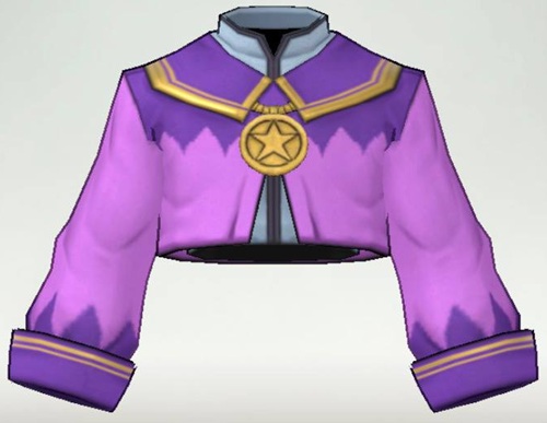 File:DQSG Wizards Garb Top.jpg