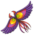 Kite hawk