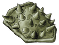 Thumbnail for version as of 02:44, 1 August 2025