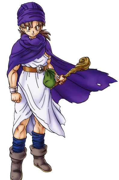 File:DQV Hero PS2.png