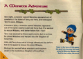 The "Monster Master" terminology used in Dragon Warrior Monsters