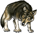 Ruff's adoptive mother