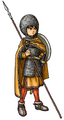 A male Paladin wearing the holy mail