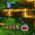 The Yggdrasil flower. (Cell phone)