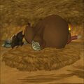 Don Mole recovering. (Cell phone)